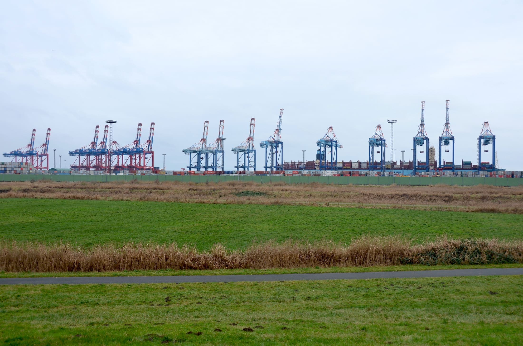 Gantry cranes at a container terminal